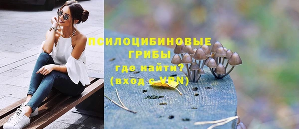 МДПВ Волоколамск