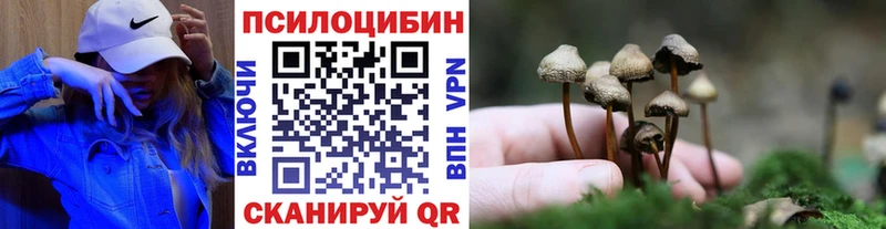 Галлюциногенные грибы Magic Shrooms  mega tor  Серпухов  где купить наркоту 
